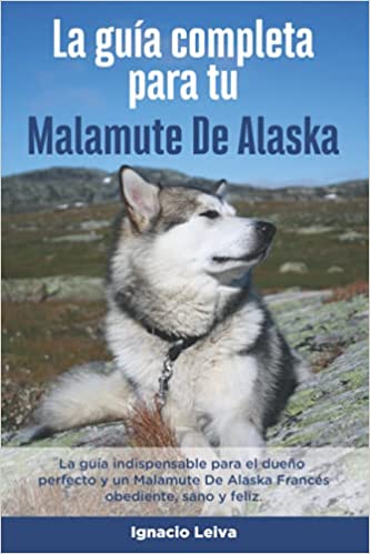 LA GUÍA COMPLETA PARA TU MALAMUTE DE ALASKA