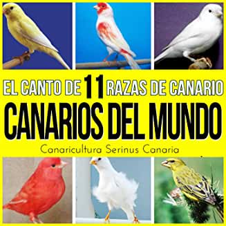 AUDIO: Canarios del Mundo. El Canto de 11 Razas de Canario (Música MP3)
