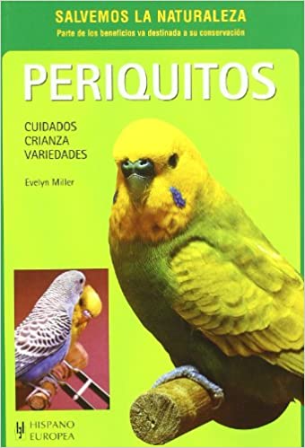 PERIQUITOS: CUIDADO, CRIANZA, VARIEDADES