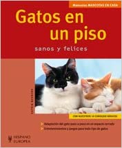 GATOS EN UN PISO SANOS Y FELICES