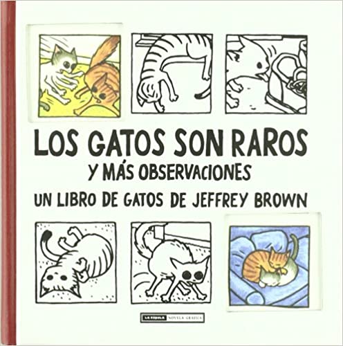 LOS GATOS SON RAROS Y MÁS OBSERVACIONES