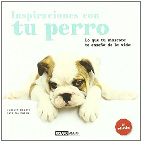 INSPIRACIONES CON TU PERRO: LO QUE TU MASCOTA TE ENSE&Ntilde;A DE LA VIDA