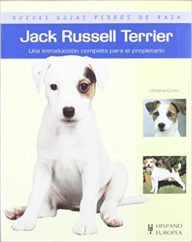 JACK RUSSELL TERRIER