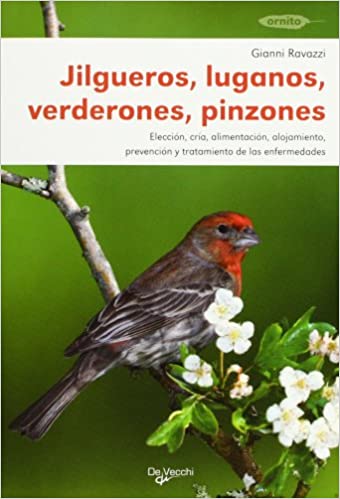 JILGUEROS, LUGANOS, VERDERONES Y PINZONES