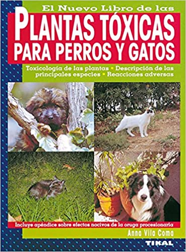 PLANTAS TÓXICAS PARA PERROS Y GATOS