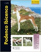 PODENCO IBICENCO