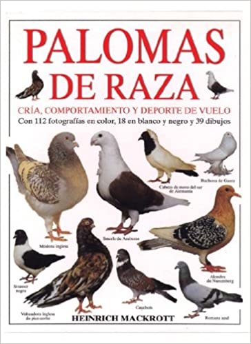 PALOMAS DE RAZA